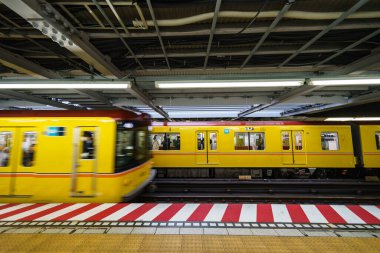 Tokyo shibuya Japonya manzarası