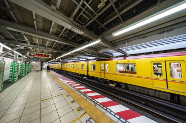 Tokyo shibuya Japonya manzarası