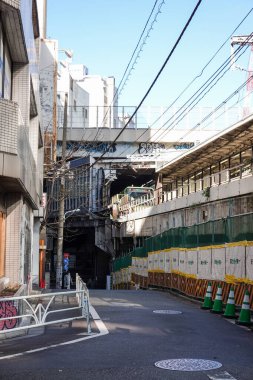 Tokyo shibuya Japonya manzarası