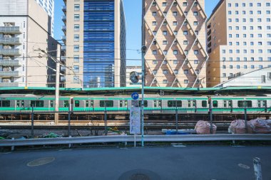 Tokyo shibuya Japonya manzarası