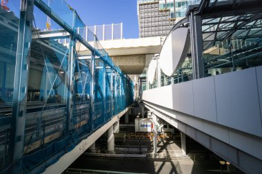 Tokyo shibuya Japonya manzarası
