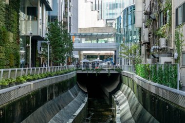 Tokyo shibuya Japonya manzarası