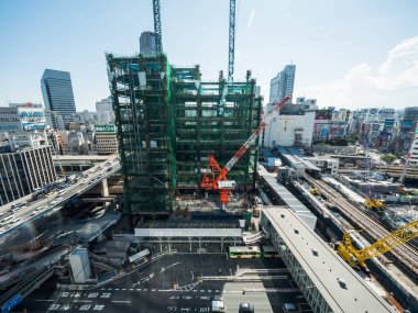Tokyo shibuya Japonya manzarası
