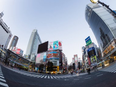 Tokyo shibuya Japonya manzarası