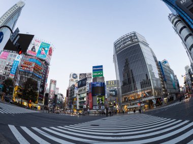 Tokyo shibuya Japonya manzarası