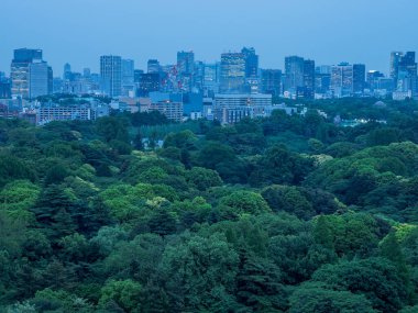 Shinjuku Japonya 'da, Tokyo Gece Manzarası