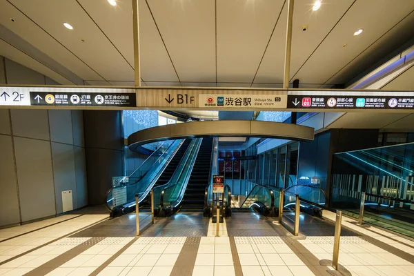 日本的石谷 东京夜景 — 图库照片