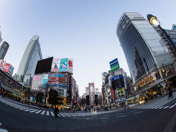 Tokyo Shibuya Japan Landskap – stockfoto