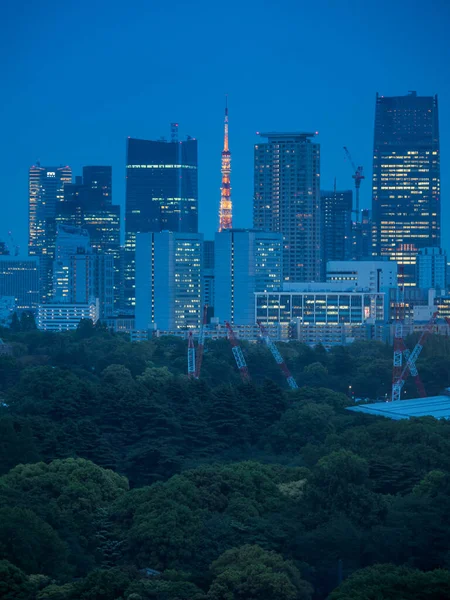 Shinjuku Japan Tokio Nachtzicht — Stockfoto