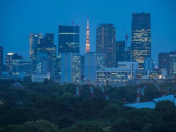 Shinjuku Japan Tokyo Night View — стокове фото