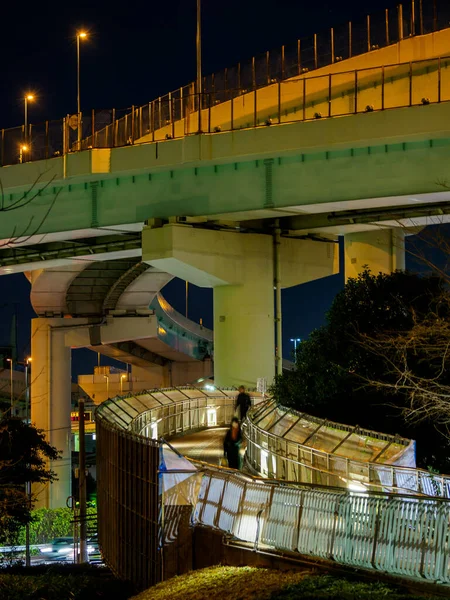 Giappone Tokyo Junction Vista Notturna — Foto Stock