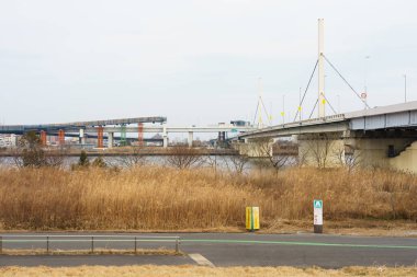 Japonya 'da kavşak, Tokyo Peyzaj