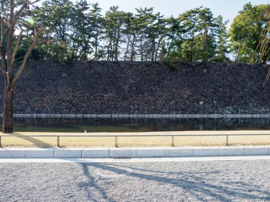 Japonya 'daki Tokyo İmparatorluk Sarayı