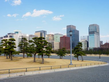 Japonya 'daki Tokyo İmparatorluk Sarayı