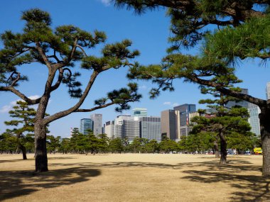 Japonya 'daki Tokyo İmparatorluk Sarayı
