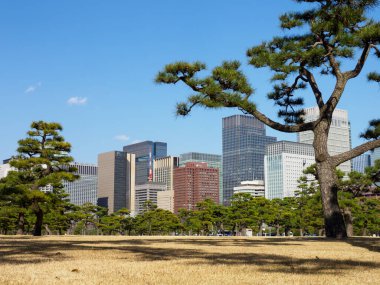 Japonya 'daki Tokyo İmparatorluk Sarayı