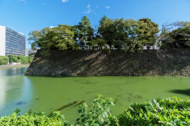 Japonya 'daki Tokyo İmparatorluk Sarayı