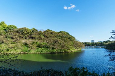 Japonya 'daki Tokyo İmparatorluk Sarayı