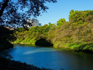 Japonya 'daki Tokyo İmparatorluk Sarayı