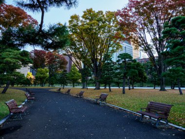 Japonya 'daki Tokyo İmparatorluk Sarayı