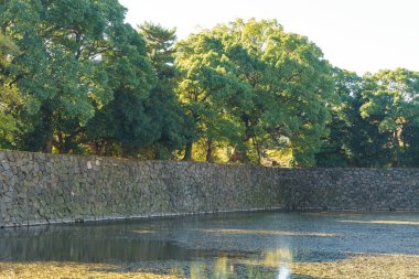 Japonya 'daki Tokyo İmparatorluk Sarayı
