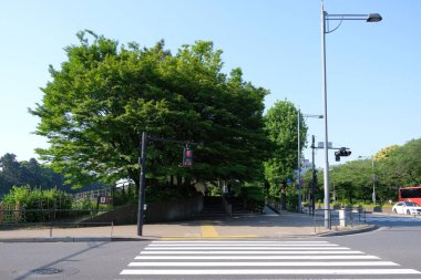 Japonya 'daki Tokyo İmparatorluk Sarayı