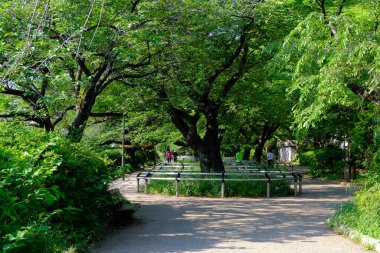 Japonya 'daki Tokyo İmparatorluk Sarayı