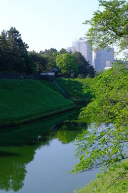 Japonya 'daki Tokyo İmparatorluk Sarayı