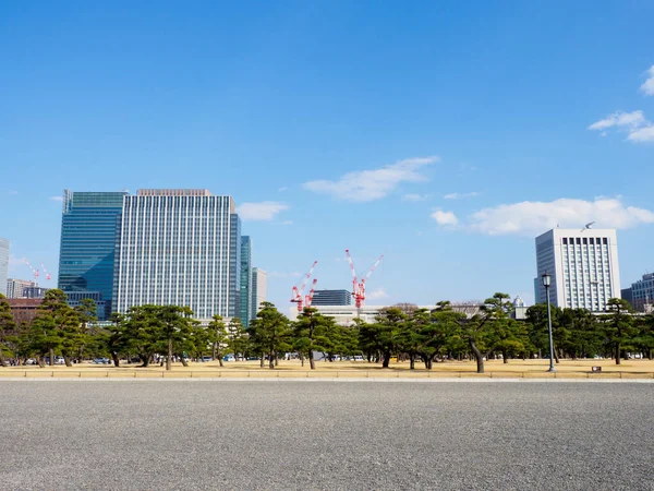 日本の東京皇居 — ストック写真