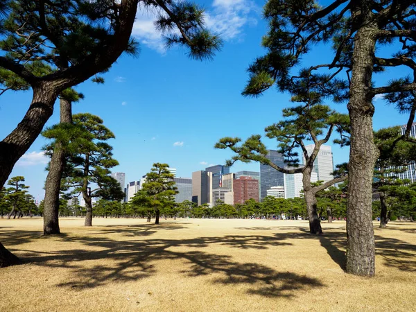 Palácio Imperial Tóquio Japão Paisagem — Fotografia de Stock