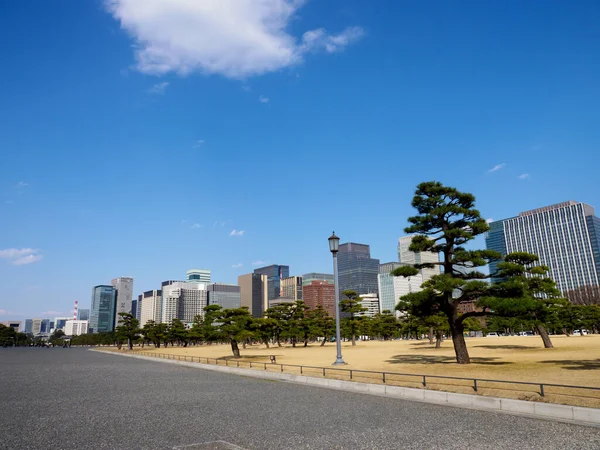Japonya Daki Tokyo Mparatorluk Sarayı — Stok fotoğraf