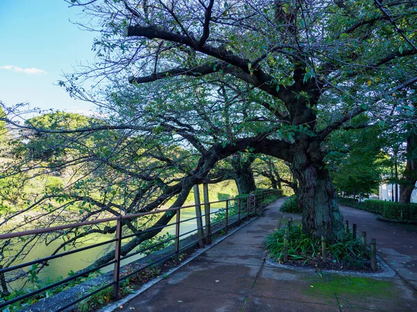 Τόκιο Imperial Palace Στην Ιαπωνία Τοπίο — Φωτογραφία Αρχείου