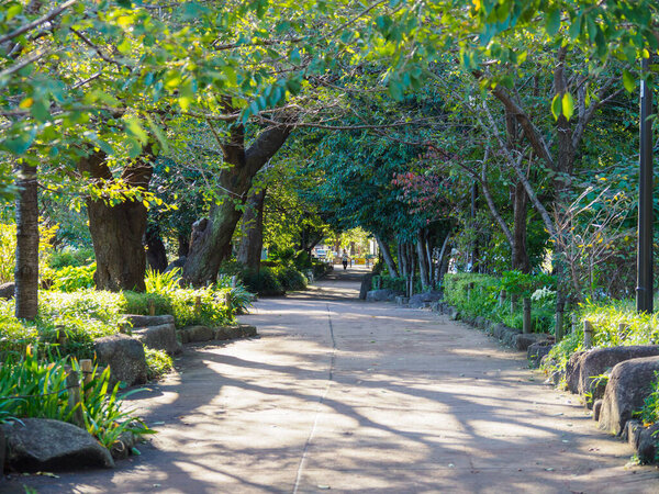 Токийский дворец в Японии
