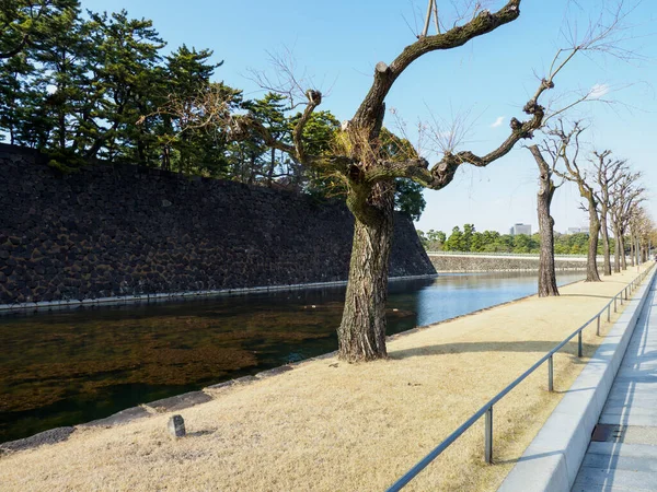 Palácio Imperial Tóquio Japão Paisagem — Fotografia de Stock