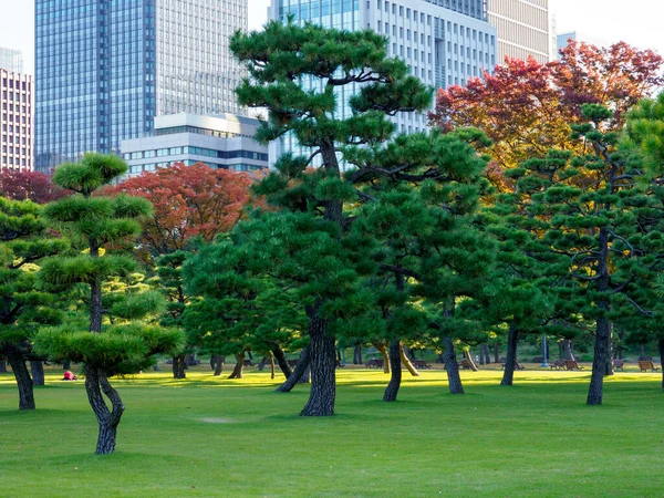 日本の東京皇居 — ストック写真