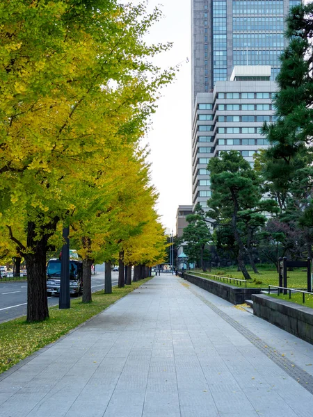 日本の東京皇居 — ストック写真