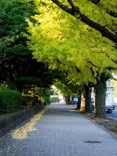 Kaiserpalast Tokio Der Japanischen Landschaft — Stockfoto