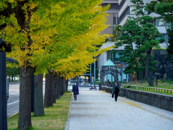 Tokyo Imperial Palace Japonii Krajobraz — Zdjęcie stockowe