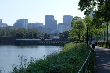 Japonya 'daki Tokyo İmparatorluk Sarayı