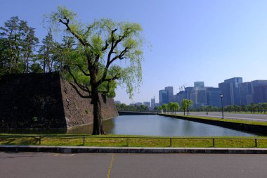 Japonya 'daki Tokyo İmparatorluk Sarayı