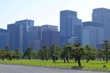 Japonya 'daki Tokyo İmparatorluk Sarayı