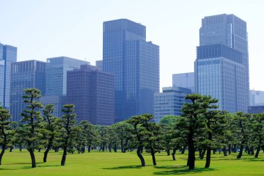 Japonya 'daki Tokyo İmparatorluk Sarayı
