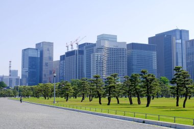 Japonya 'daki Tokyo İmparatorluk Sarayı