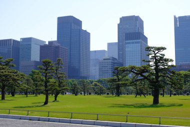 Japonya 'daki Tokyo İmparatorluk Sarayı