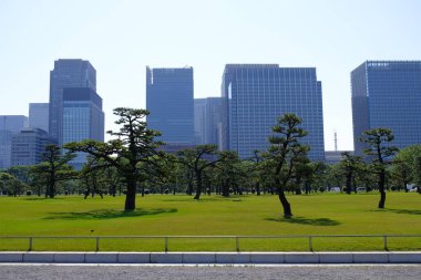 Japonya 'daki Tokyo İmparatorluk Sarayı