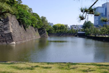 Japonya 'daki Tokyo İmparatorluk Sarayı