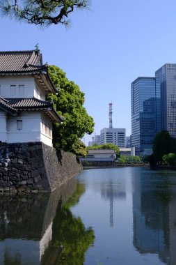 Japonya 'daki Tokyo İmparatorluk Sarayı