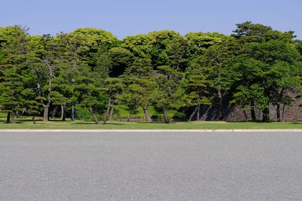 Palacio Imperial Tokio Japón Paisaje — Foto de Stock