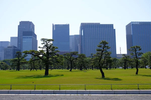 日本の東京皇居 — ストック写真
