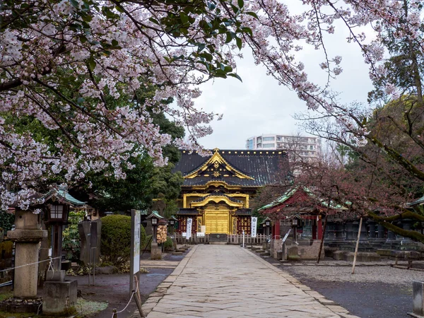 Japonya 'da kiraz çiçekleri, Tokyo